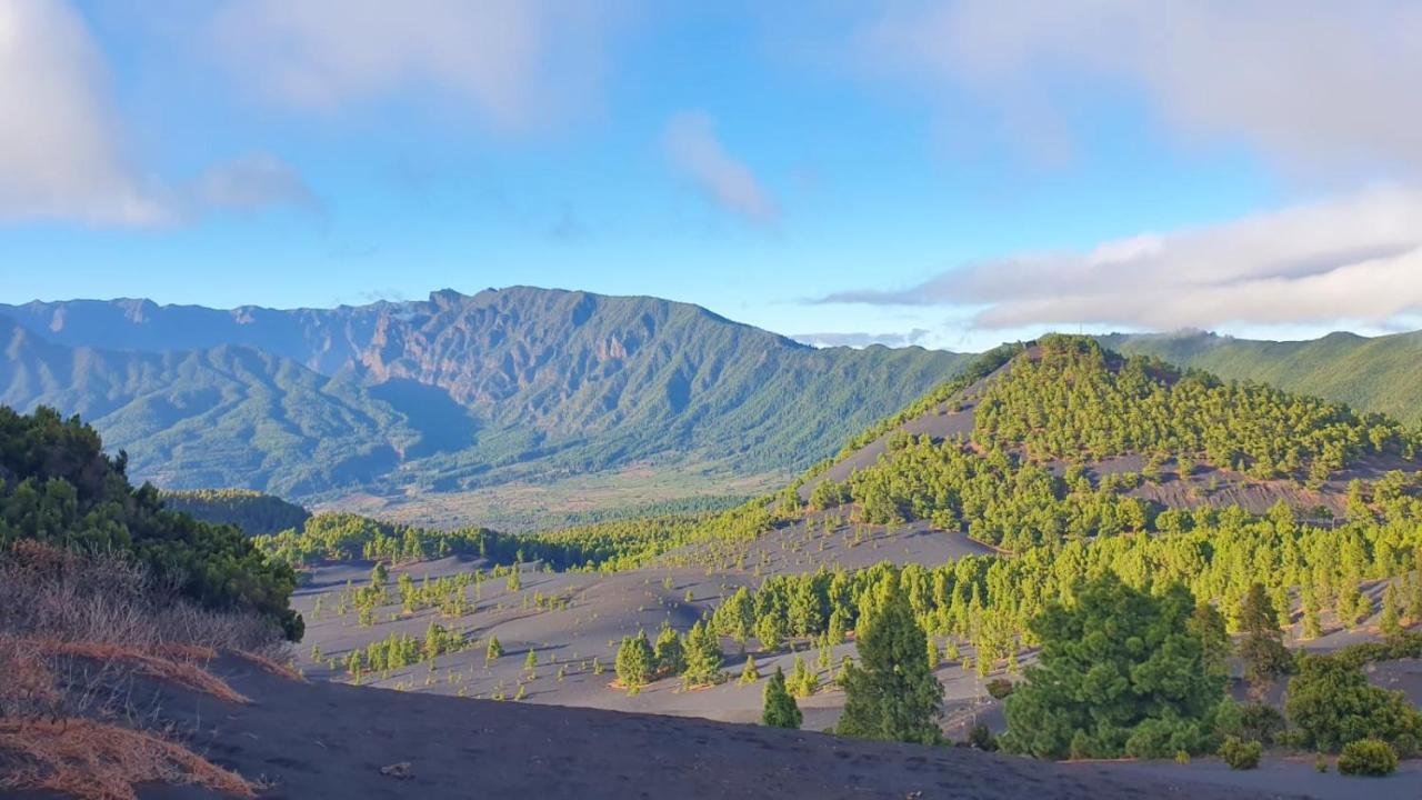 Finca Maracuya 埃尔帕索 外观 照片